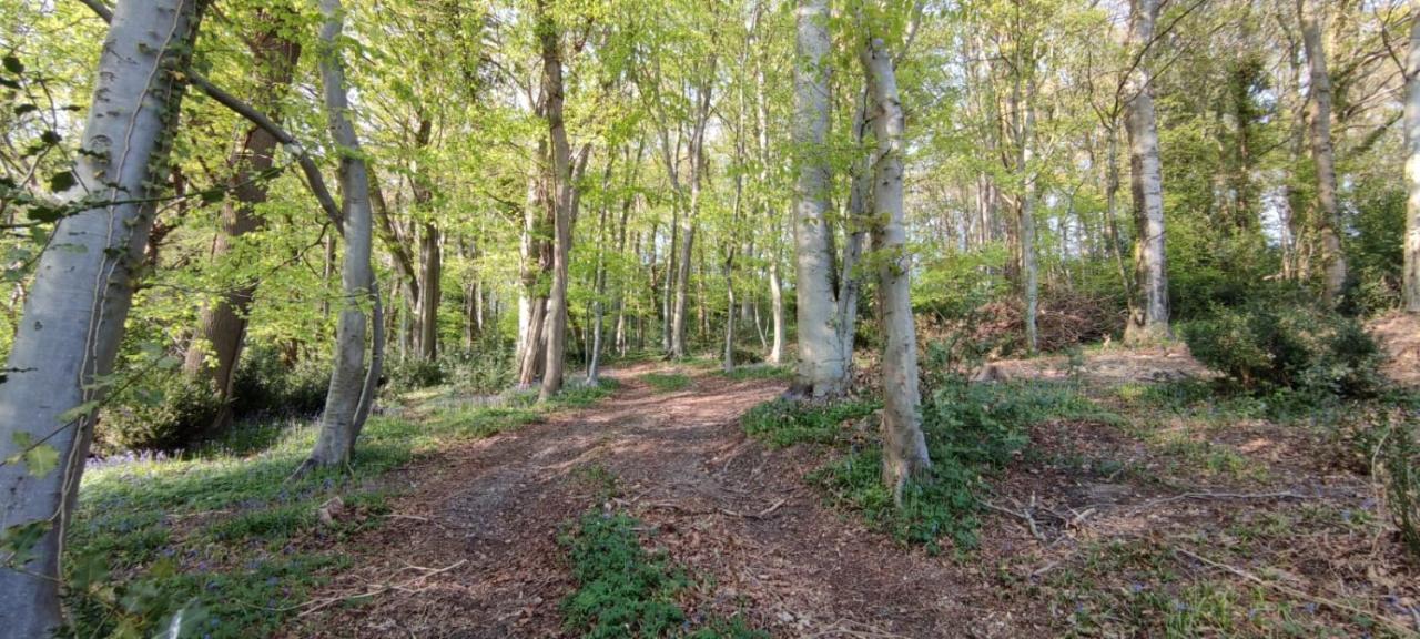 Gites 4,6 personnes Fécamp Etretat Colleville Exterior foto